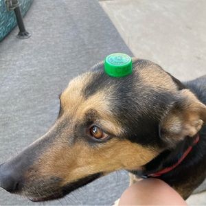 Meet your Posher, Evan